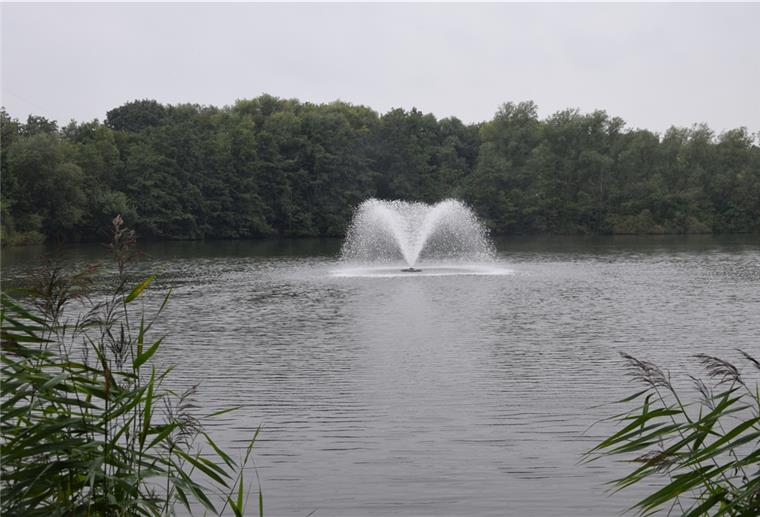 Die Sauerstoffpumpe im Seenpark soll ein drohendes Fischsterben im Seenpark I verhindern.