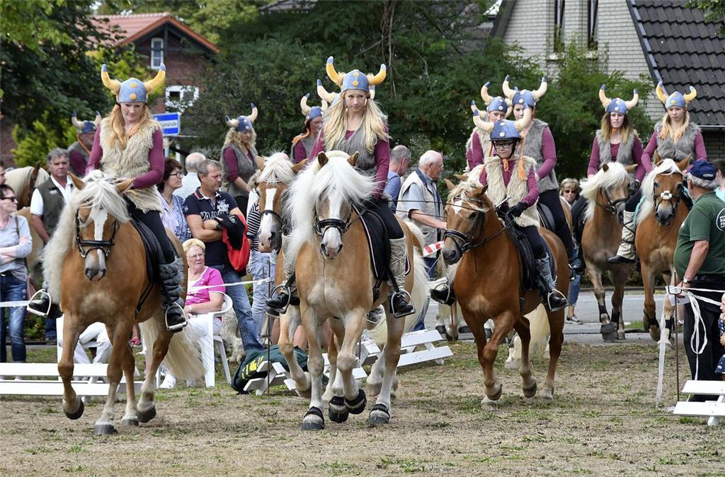 Die Schaubildgruppe der Haflingerfreunde Cuxhaven zeigte beim Midlumer Markt den...