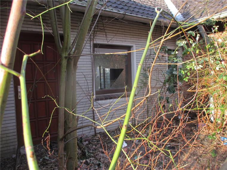 Sauna am Kalkofen in Bremerhaven verkommt immer mehr Die Scherben der eingeschlagenen Fenster fliegen offen verstreut herum - gefährlich für die Kitakinder und auch Hunde.