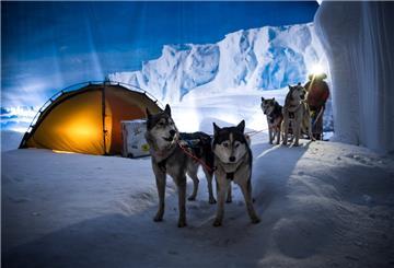 Die Schlittenhunde von Hundeführer Kranz vom Huskyhof Ridderade sind zu Gast im Klimahaus Bremerhaven in den Bereichen Wüstenkulisse des Niger und in der Antarktis (Bild).