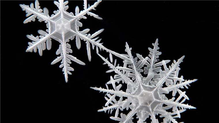 Die Schneeflocken haben sehr unterschiedliche Strukturen.