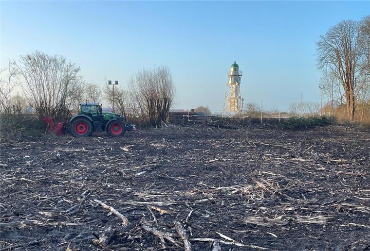 Erschreckender Anblick: Das wurde aus dem Nordenhamer Strandwald Rodung