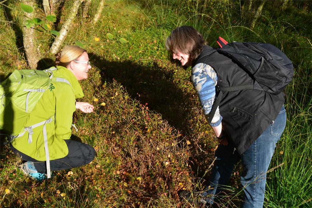 Die schönsten Fotos vom &quot;Langen Tag der Natur&quot;. Foto: Scheiter