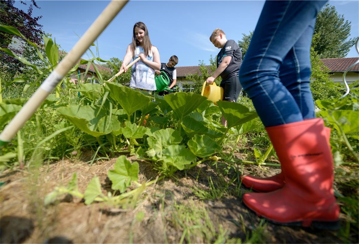 Die Schüler der Oberschule Geestemünde bei der Gartenarbeit