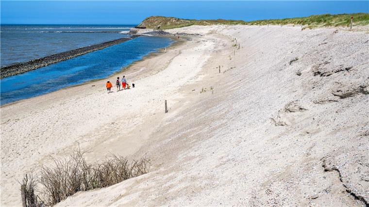 Die Schutzdüne im Westen der Insel Spiekeroog.
