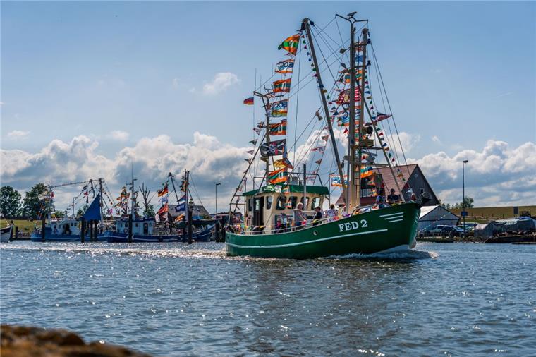 Fedderwardersiel: Die große Kutterregatta hat einen neuen Titelverteidiger Die "Seestern" ist der neue Titelverteidiger der Kutterregatta.