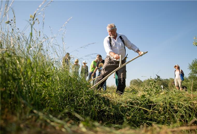 Im Cuxland bald nur noch Öko am Wegesrand Die Sense wollen sie nicht wieder hervorholen. Aber die Umweltpolitiker wollen die öffentliche Grünflächen im Cuxland ökologischer bewirtschaften.