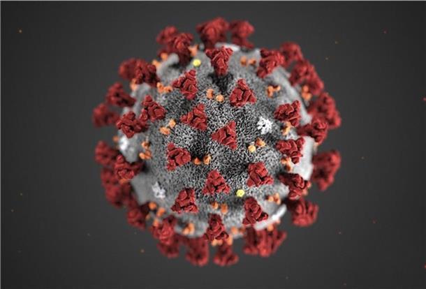 Die „Sieben-Tage-Inzidenz“ für den Landkreis Rotenburg liegt nun bei 51.