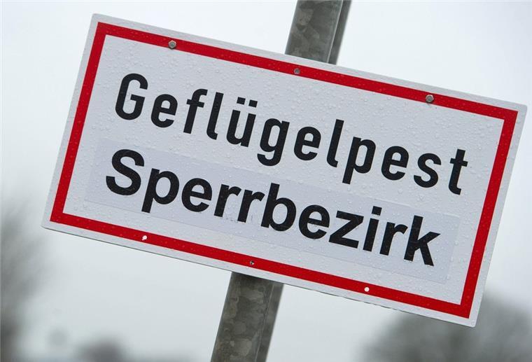 Schild mit Aufschrift: Geflügelpest Sperrbezirk.