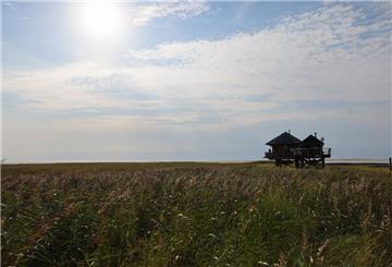 Die sogenannten Vogelinseln und -halligen in Nord- und Ostsee sind Natur- und Vogelschutzgebiete. Hier braucht es eine Ausnahmegenehmigung.