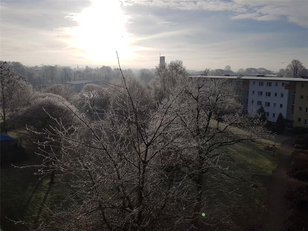 Die Sonne über Grünhöfe bereitet dem Frost ein Ende. 