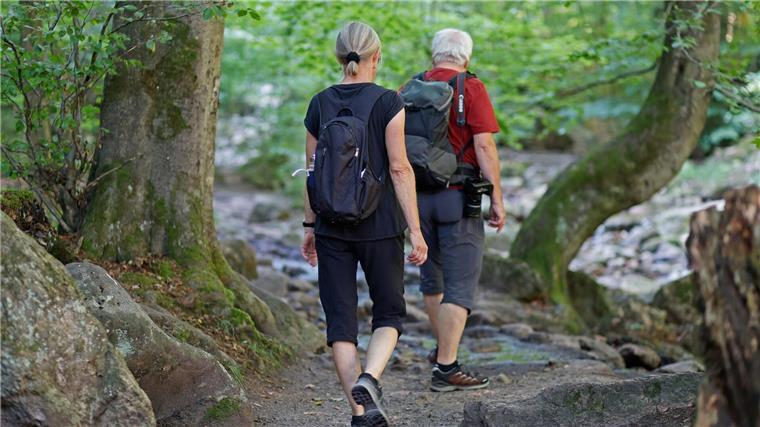 Brücke im Ilsetal abgerissen - Wanderweg bleibt gesperrt Die Sperrung eines Teilstücks des Heinrich-Heine-Weges im Ilsetal im Harz bleibt auch nach dem Abriss einer beschädigten Brücke aufrechterhalten.