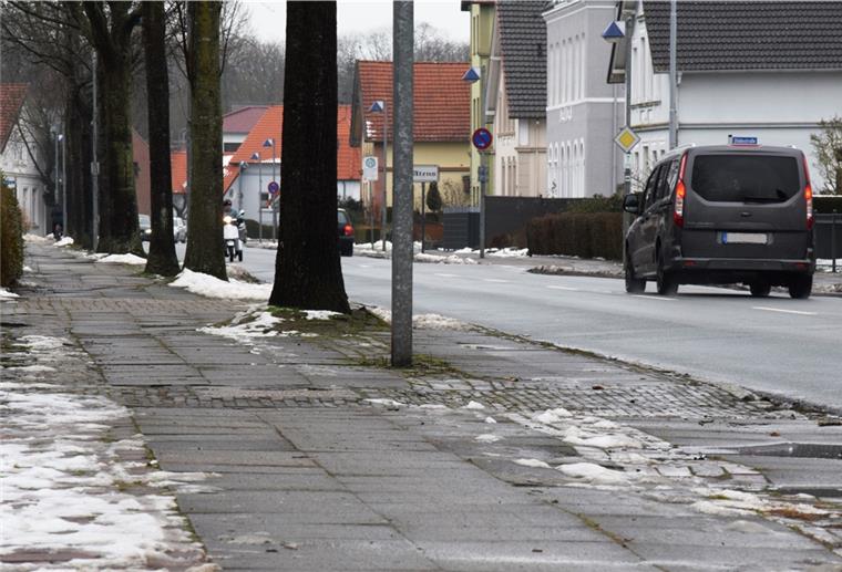 Nordenham: Für neuen Geh- und Radweg sollen zwölf Eichen weichen Die Stadt lässt am Südrand der Bahnhofstraße den 640 Meter Geh- und Radweg zwischen Mittelweg und Friedeburg-Kreisverkehr sanieren.