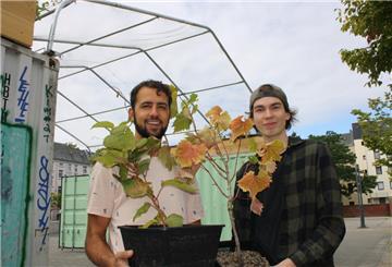 Die Studenten Sylvam Rentel (26) und Julian Schöne (26) zeigen einige der Pflanzen, die das Dach zwischen den Containern bewachsen sollen. Zum Start-up-Unternehmen Urban Pergola gehören auch noch Lina Becker und Marcel Conrad.