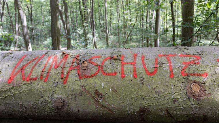 Die Studie basiert auf einer sozialwissenschaftlichen Langzeitbefragung in Deutschland. (Symbolbild)