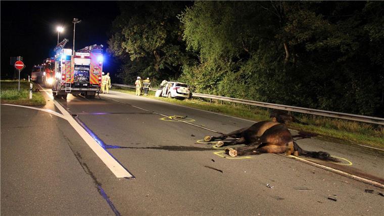 Taxi stößt mit Pferden zusammen - Fahrer und Tiere sterben Die Tiere waren entlaufen.