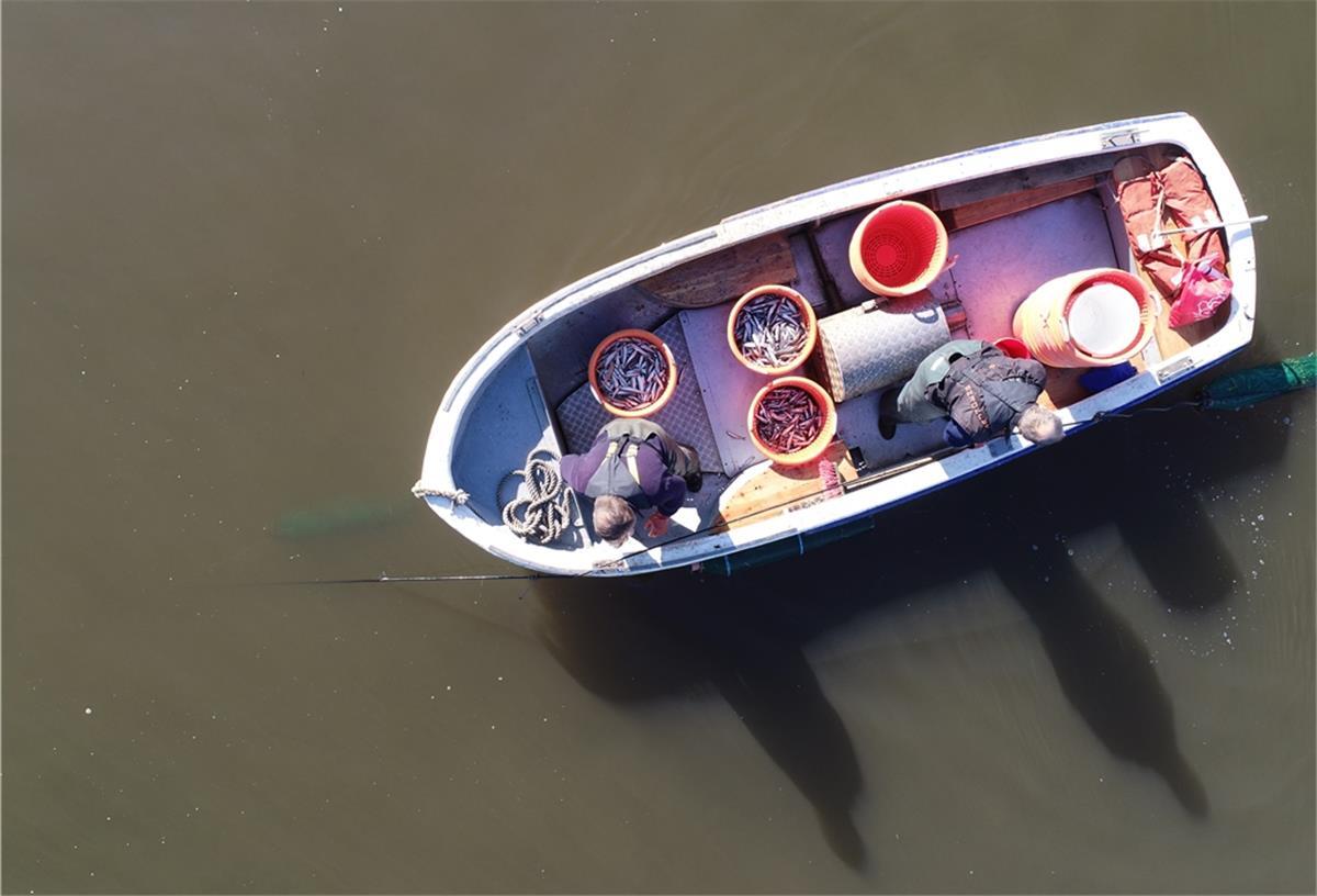 Neue Heimat für das Fischereiamt Die Überwachung der Fischerei auf der Weser bis Bremen gehört auch zu den Aufgaben des Fischereiamts. Weil der bisherige Dienstsitz sanierungsbedürftig ist, bezieht die Behörde im Fischereihafen ein anderes Gebäude in der Nachbarschaft.