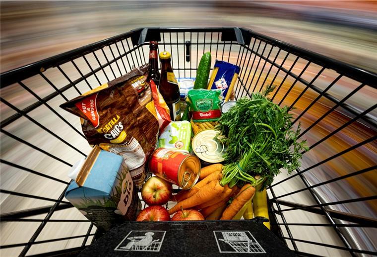 Die Inflation liegt bei hohen 4,9 Prozent Lebensmittel im Einkaufswagen