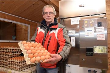 Die vergangene Woche schloss Andreas Speckels-Suhren mit einem Defizit von 405 Euro ab, was dem Wert von 1200 Eiern entspricht. „Das geht zu weit, das ist mit Sicherheit kein Kavaliersdelikt mehr“, sagt der Landwirt.
