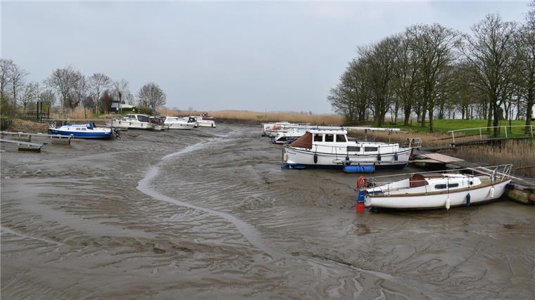 Die Spülung funktioniert nicht mehr - und das bedroht den Absersieler Hafen
