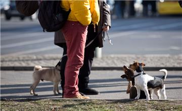 Die Verwaltung in Sittensen erinnert Hundehalter daran, ihre Vierbeiner an der Leine durch die Samtgemeinde zu führen.