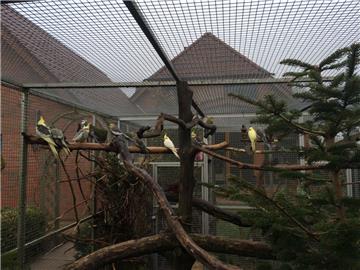 Die Vögel haben in den Außengehegen viel Platz und frische Luft. Foto Gehrke
