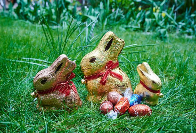 Geflügelpest sorgt für Eierknappheit: Es wird teurer!
Osterhasen und Ostereier aus Schokolade liegen auf deiner Wiese.