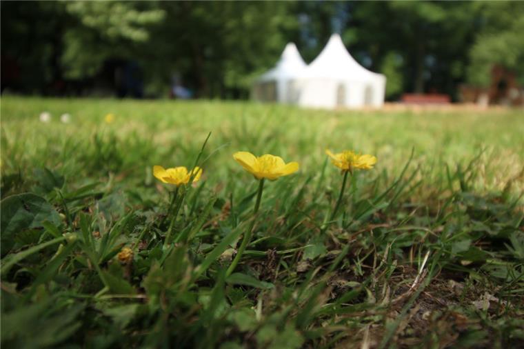 Waldbrandgefahr: Rauchverbot bei Garten & Ambiente in Nordenham Die Vorbereitungen für Garten & Ambiente im Friedeburgpark haben begonnen.