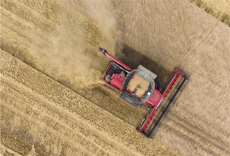 Niedersachsens Landwirte von Getreideernte enttäuscht Die vorläufige Ernte 2021 (ohne Körnermais) beträgt rund 5,4 Millionen Tonnen, wie das Landesamt für Statistik Niedersachsen am Mittwoch mitteilte. Vor allem die Qualität der Getreideernte ist in Niedersachsen schlechter als erwartet ausgefallen.
