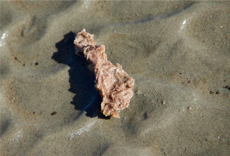 Paraffin-Funde an den Küsten melden Die wachsartigen Fundstücke unterscheiden sich nach Farbe und Form.