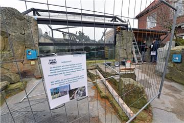 Die Waschbären im "Zoo am Meer" in Bremerhaven bekommen ein neues Schlafhaus.
