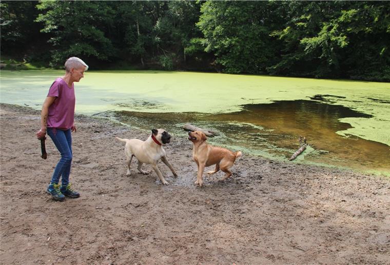 Schatten über dem Hundestrandbad in Wingst Die Wingsterin Wenke Rohde ist froh über die Freilaufgelegenheit für ihren Hund. Doch nicht immer geht es im Hundestrandbad Wingst so friedlich zu.