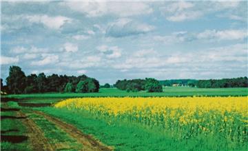 Die Wüllenheide bei Wilstedt. Sie eignete sich in früheren Zeiten wahrscheinlich für Manöver. Hinten rechts sind die ersten Häuser des Dorfes Vorwerk zu erkennen.
