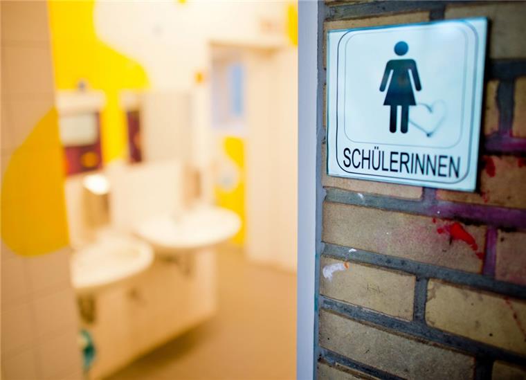 Die Zahlen aus der Anfrage der FDP lassen aufhorchen, doch in der Wesermarsch sind die Schultoiletten allgemein in einem guten Zustand.