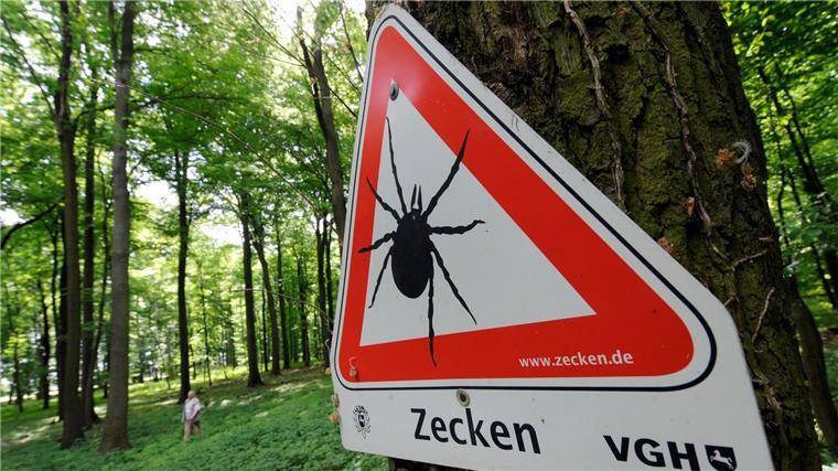 Die Zecken-Saison beginnt bald wieder. (Archivbild)