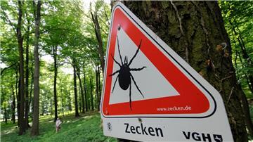Die Zecken-Saison beginnt bald wieder. (Archivbild)