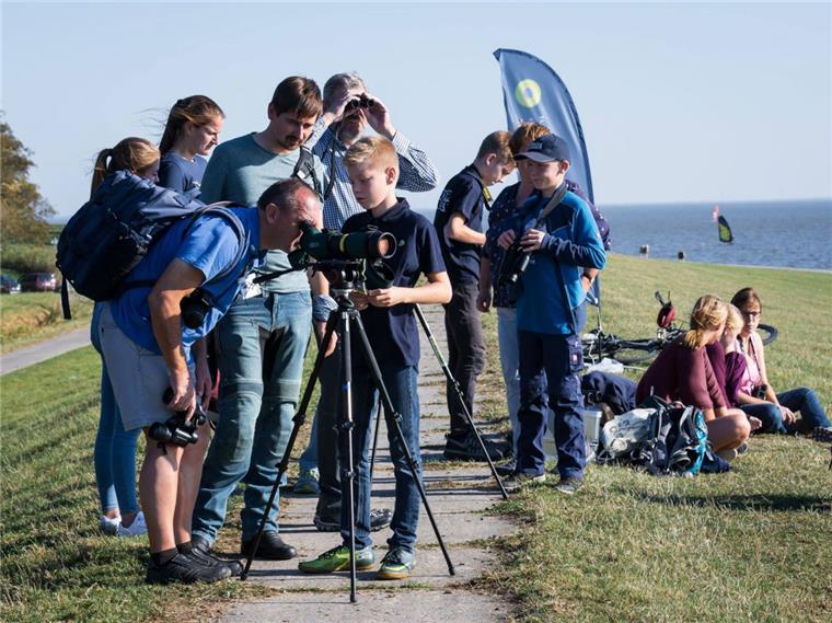 Zugvogeltage mit großem Programm in der Wesermarsch Die Zugvogeltage locken seit elf Jahren Vogelfreunde an die Nordseeküste.
