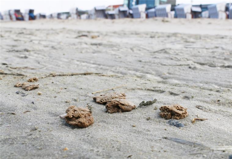 Rätselhafte Klumpen auf Norderney angespült Diese Klumpen wurden in den vergangenen Tagen auf Norderney angespült. Unklar ist, woraus sie genau bestehen und ob sie gefährlich sind. Das Material wird derzeit untersucht.