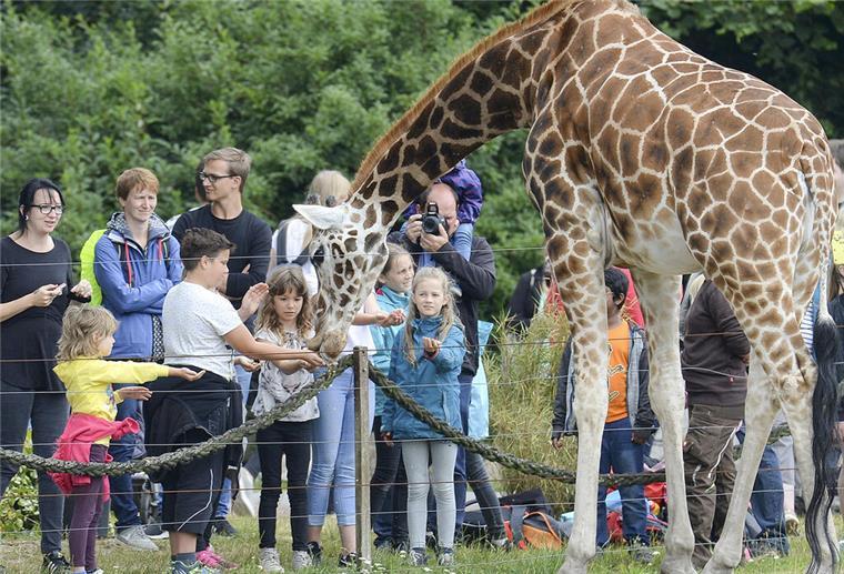 Jaderpark - der Tier- und Freizeitpark für die ganze Familie Zoo Jaderberg