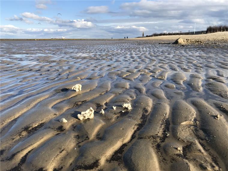 Verschmutzung an Cuxhavener Stränden - Jetzt ermittelt die Polizei Diese Paraffinklumpen wurden am Strand in Cuxhaven-Döse entdeckt.
