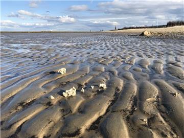 Diese Paraffinklumpen wurden am Strand in Cuxhaven-Döse entdeckt.