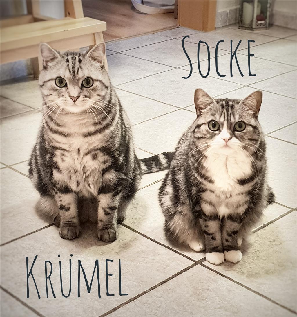 Diese zwei Süßen sind Geschwister. Da fliegen auch manchmal die Fetzen. Ohne die...