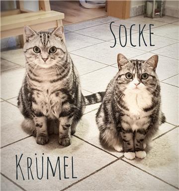 Diese zwei Süßen sind Geschwister. Da fliegen auch manchmal die Fetzen. Ohne die...