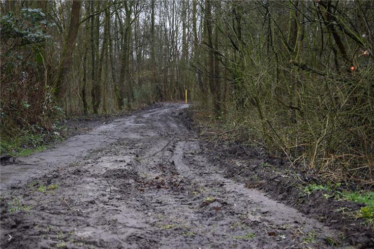 Seenpark gleicht aktuell einer Schlammwüste Dieser Weg führt vom Parkplatz an der Burgstraße zur Kinder- und Jugendfarm. Ohne Gummistiefel ist er quasi nicht mehr nutzbar.