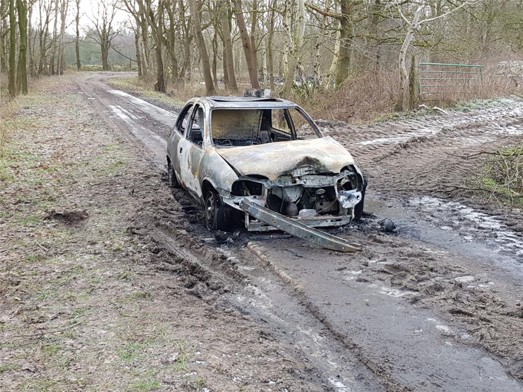 Dieses Auto ist auf einem Feldweg in Schiffdorf komplett ausgebrannt. Foto: Feue...