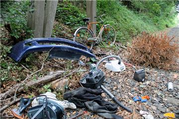 Dieses Bild bot sich Anwohnern und  Mitarbeitern des Bauhofs dieser Tage im Gleisbett unter der Fußgängerbrücke zwischen Wilhelm-Busch- und Hermann-Allmers-Weg in Zeven.