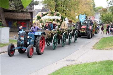 Dieses historische Gespann aus Brundorf mit der Milchproduktion von 1950 stufte die Jury in die Kategorie der drei besten Wagen ein. Zahlreiche Zuschauer an den Straßenrändern verfolgten den Umzug mit ingesamt 37 Festwagen mit.