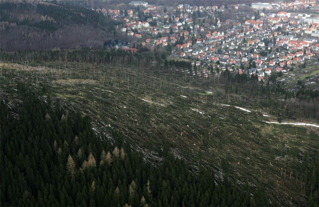 Dieses Luftbild zeigt ein zerstörtes Waldgebiet auf dem Lindenberg in Ilmenau (T...