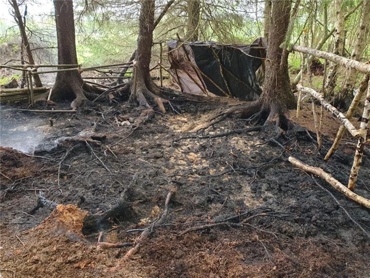 Brand in Wald bei Debstedt: Feuerwehr verhindert Schlimmeres Dieses Waldstück brannte am Mittwochnachmittag. Die Feuerwehr konnte schnell löschen.