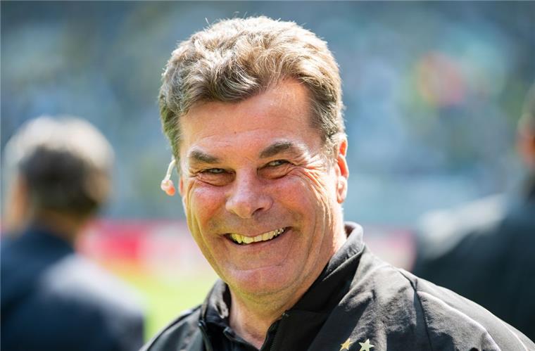 Neuer HSV-Hoffnungsträger: Dieter Hecking übernimmt Dieter Hecking steigt beim HSV ein.